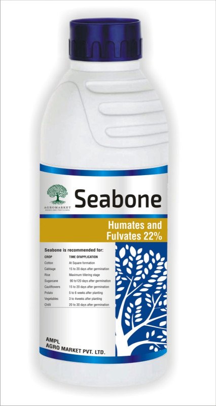 Seabone