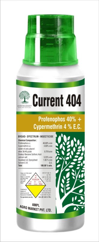 Curent 404