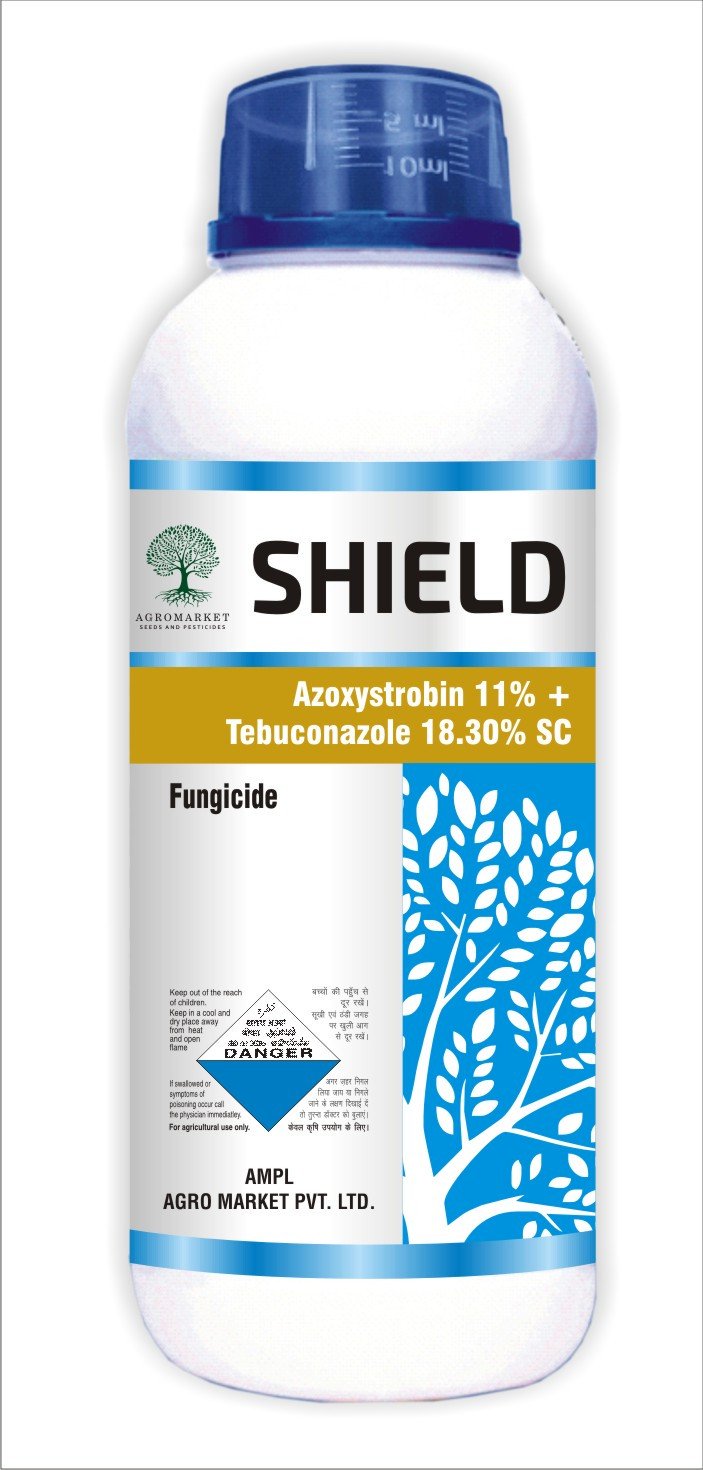 Shield
